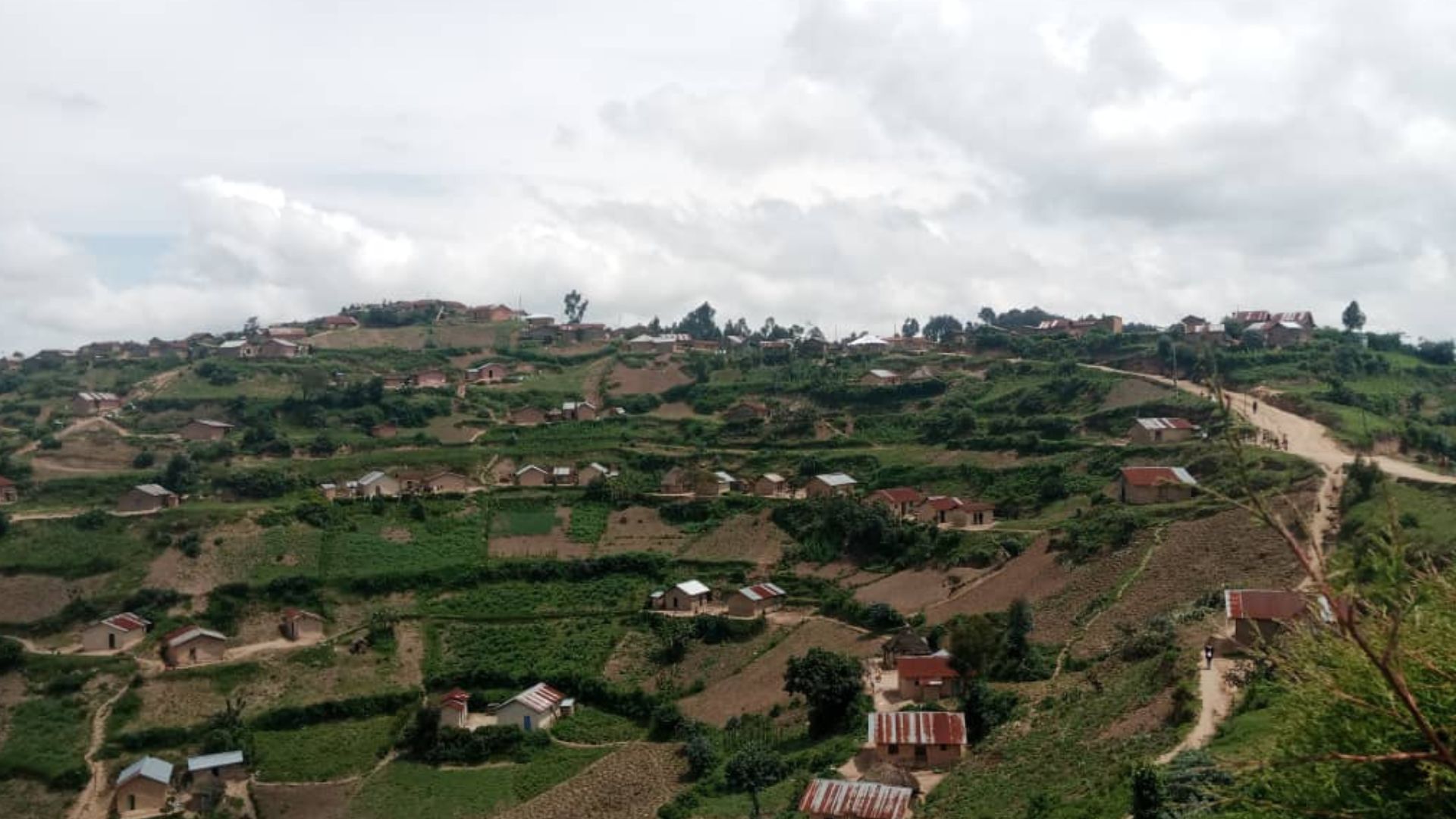 Nord-Kivu : quatre personnes meurent après consommation des champignons à Kipese