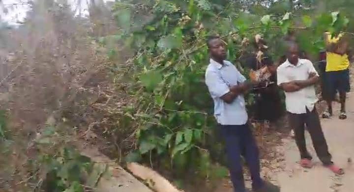 Route Kindu-Lomami : un enfant tué après la chute d’un arbre sur la moto en plein voyage 