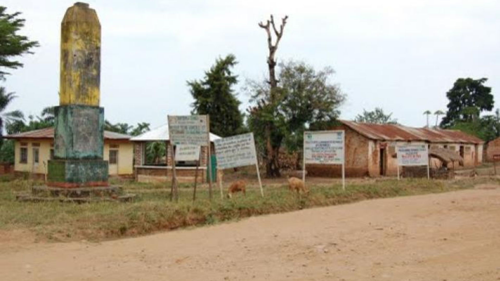 Sud-Kivu : multiplicité d’ONG à Uvira et Fizi et son impact sur le développement local