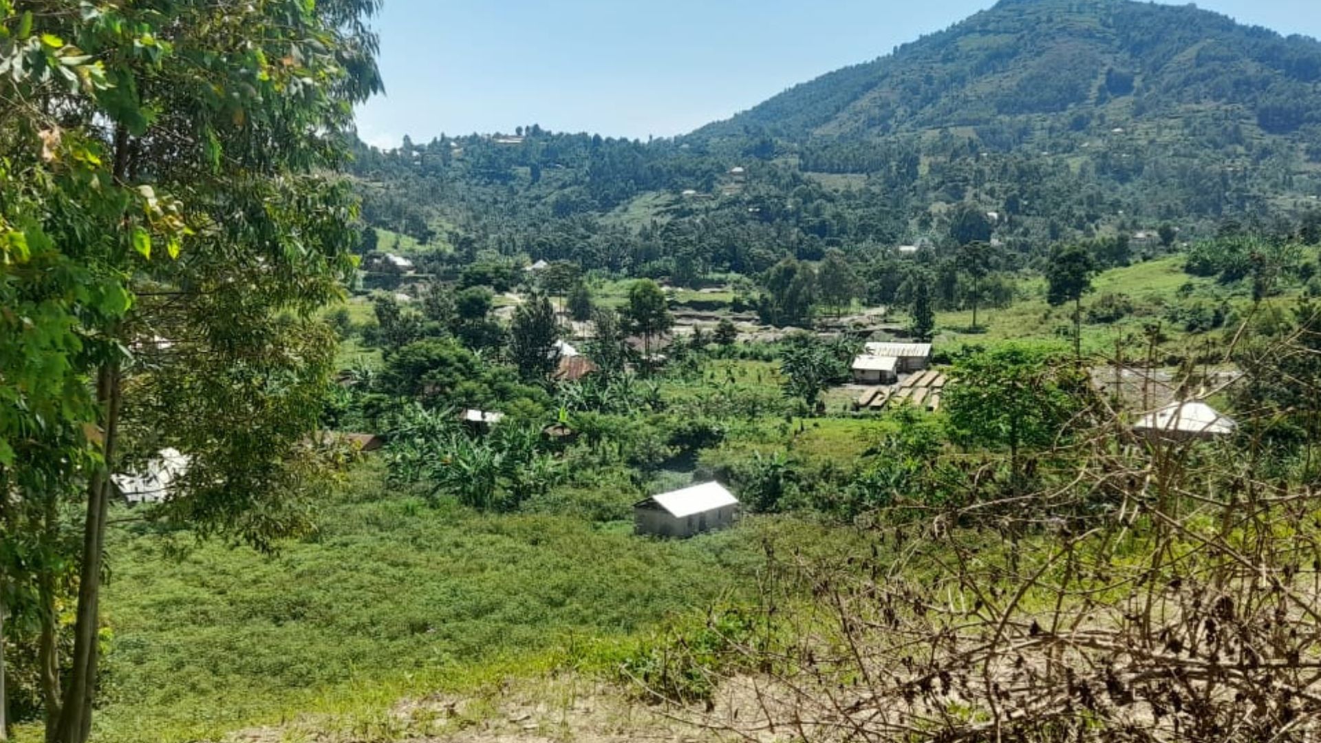 Idjwi : ce récit effrayant de Maisha, kidnappé et libéré 6 jours après paiement de plus de 1150 dollars