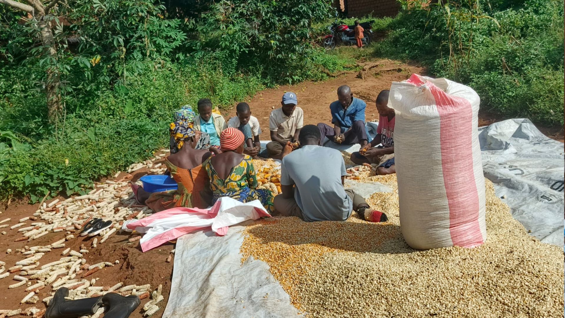 Guerre à l'est de la RDC : Heri Mulengenzi mobilise des habitants dans les activités d'auto prise en charge à Idjwi