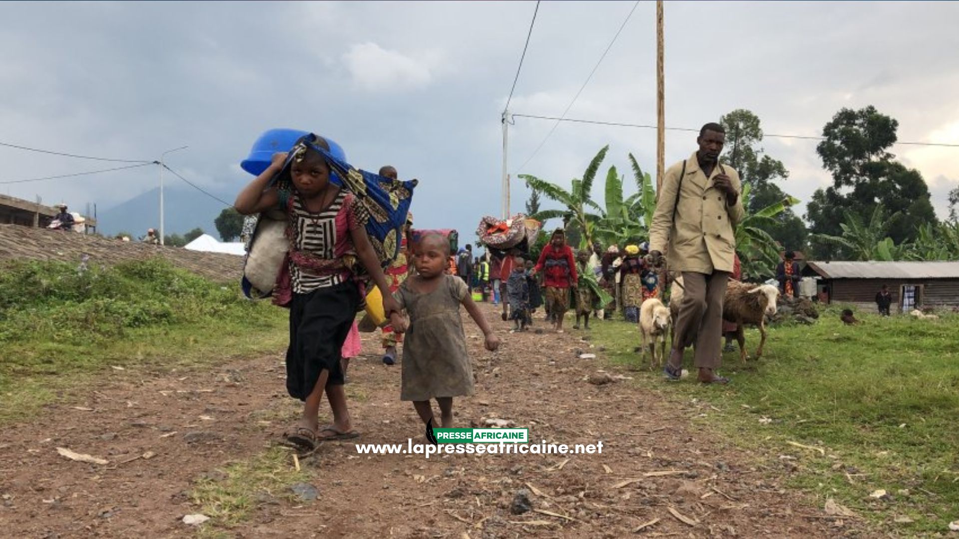 Urgent : Guerre du M23 / Un nouveau Afflux massif des déplacés signalé à KANYARUCHINYA 